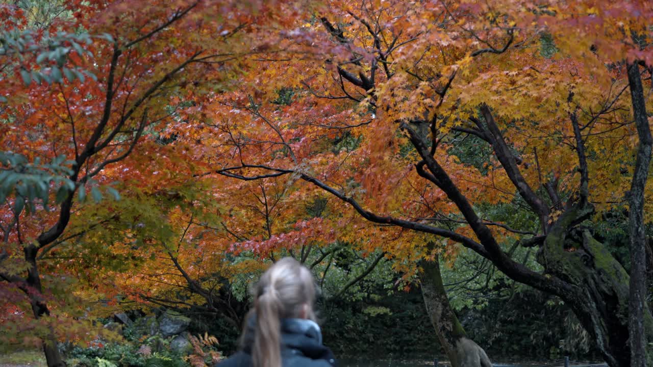 A woman stands quietly, gazing into a tranquil lake surrounded by vibrant autumn foliage in Kanazawa’s famous garden.