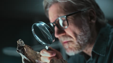 scientist examining a fossil