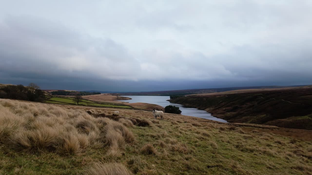 los páramos de yorkshire en el campo inglés