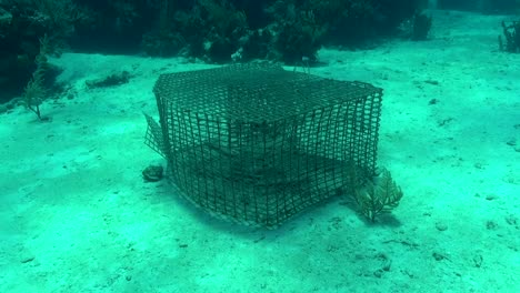 Abandoned-fish-trap-in-the-Bahamas