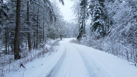 Tiro-Suave-Hacia-Atrás-Del-Camino-Del-Bosque-De-Invierno-Nevado-En-El-Bosque-Con-Abetos-Altos-Y-Pinos-Durante-La-Temporada-De-Navidad