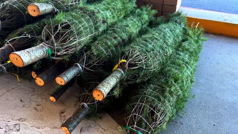 Freshly-cut-new-bright-green-Christmas-trees-for-sale-tied-wrapped-and-stacked-up-laying-on-concrete-ground-as-camera-pans-left-over-the-stack-of-fresh-Xmas-trees---in-4K-30fps-slowed-half-speed