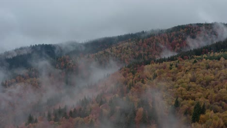 aerial flight through fog over beautiful fall foliage on forest covered hills