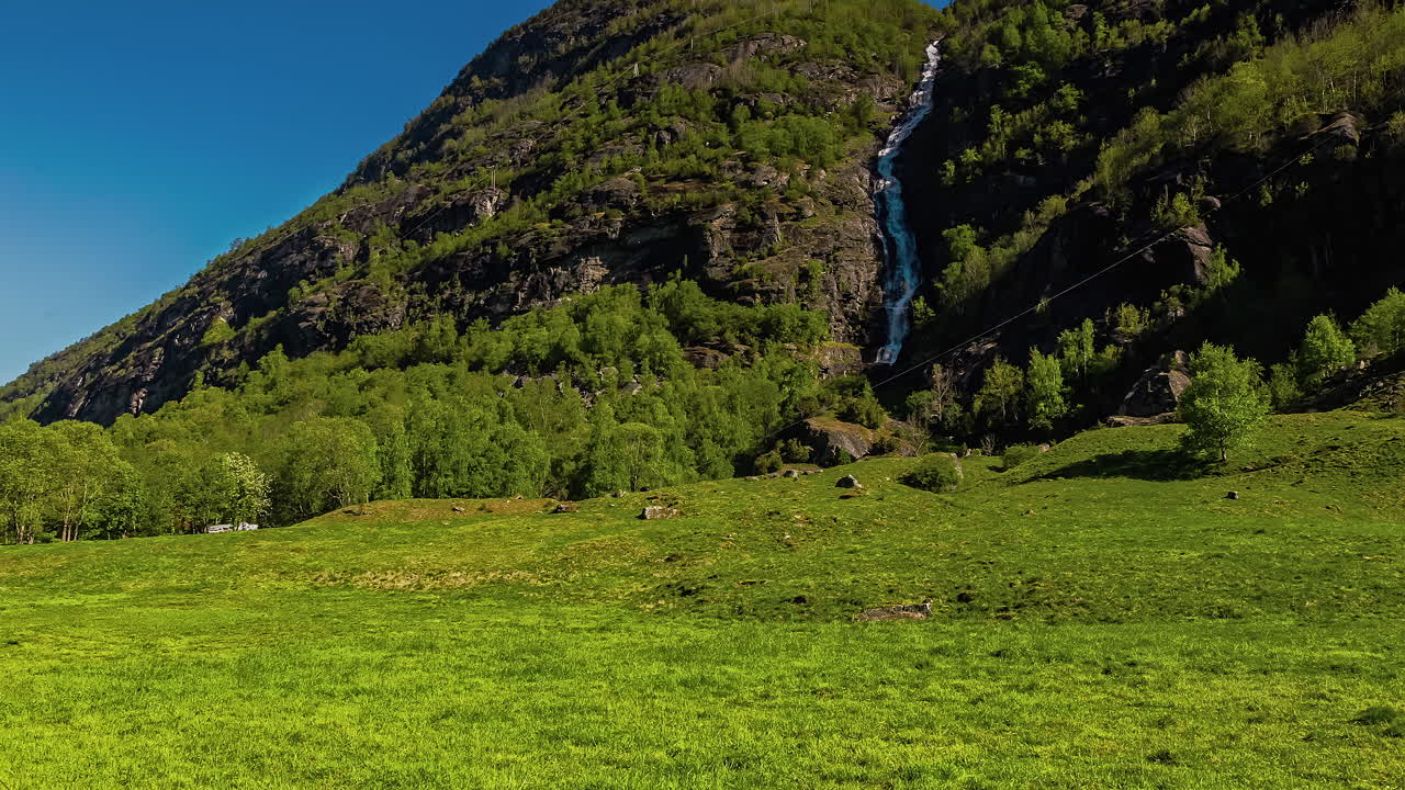 Ripresa veloce di una cascata d'acqua stretta su una montagna con mucche al pascolo in primo piano a Flam, Norvegia, in una luminosa mattina di sole