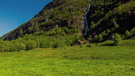 Toma-Rápida-De-Una-Cascada-De-Agua-Estrecha-Sobre-Una-Montaña-Con-Vacas-Pastando-En-Primer-Plano-En-Flam,-Noruega-En-Una-Mañana-Soleada