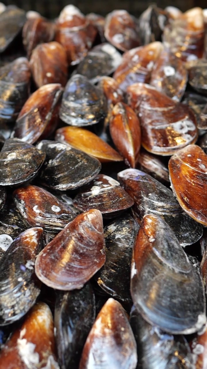 Cozze fresche crude ammucchiate
