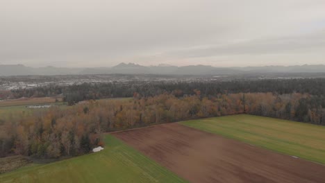 Imágenes-De-Drones-4k-De-Campos-Agrícolas-Cerca-De-Un-Espeso-Bosque-Arbolado-En-Un-Entorno-Rural-De-Desarrollo-Filmado-En-Un-Día-Nublado