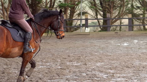 vrouw die buiten op een paard rijdt.