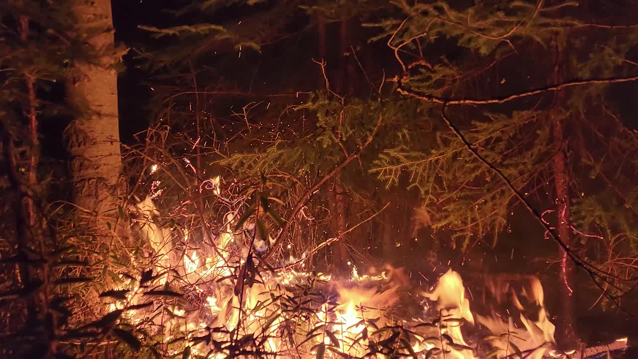 Close up of forest fire in the mountains
