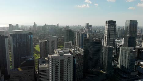 aerial view from bgc to makati