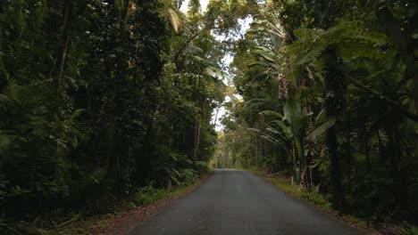 driving along a country road street in the jungle forest rainforest in pov point of view with a car in 4k uhd