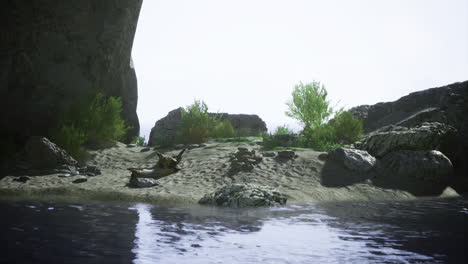 a tranquil riverbank is visible with smooth rocks and vibrant green plants