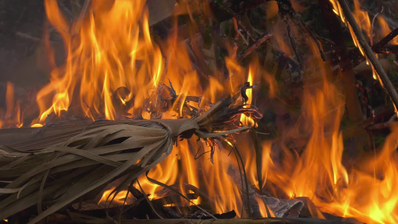 llamas naranjas de fuego que consumen ramas de palma, españa rural