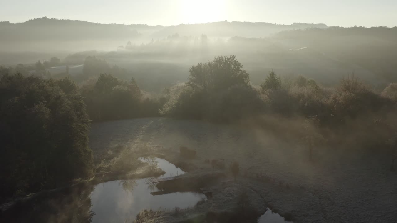 안개가 가득한 아침의 산림 풍경.