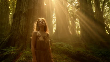 woman in a forest bathed in sunlight