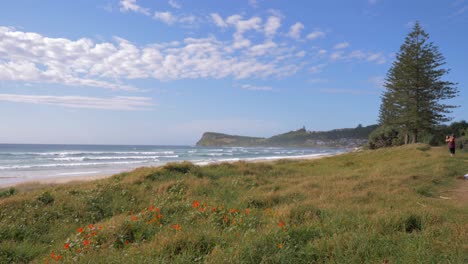 Mujer-Tomando-Fotos-En-La-Hermosa-Playa-Desde-El-Prado-Costero---Lennox-Point-En-Lennox-Head,-Nsw,-Australia