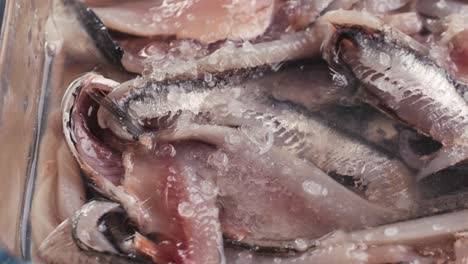 fresh sea sardines and anchovy fish and mullus on display on ice on market store shop. seafood fish background, close up stand of small salty white fish.