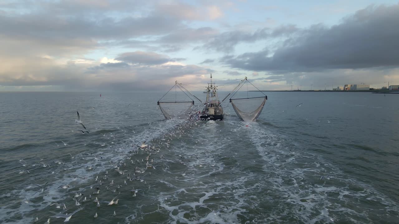 Flyfoto av fisketråler og måker ved soloppgang på Vadehavet i Harlingen Friesland Nederland