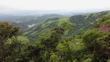 flight through the monteverde rainforest in costa rica in central america