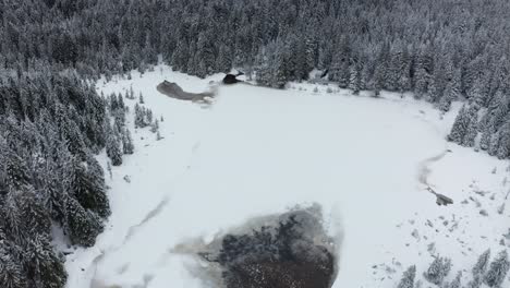 Frozen-lake-in-winter,-woods-covered-in-fresch-snow,-aerial-view,-Crno-jezero,-Black-lake,-Pohorje,-Slovenia