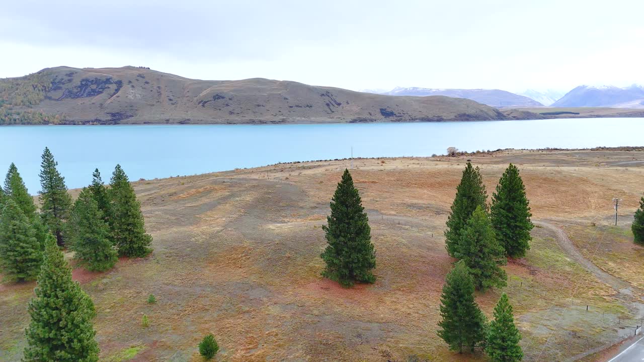 Aerial footage captures Lake Tekapo's serene landscape with pine trees, clear skies, and tranquil waters in New Zealand