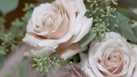 two white roses sense of time passing light shifting past