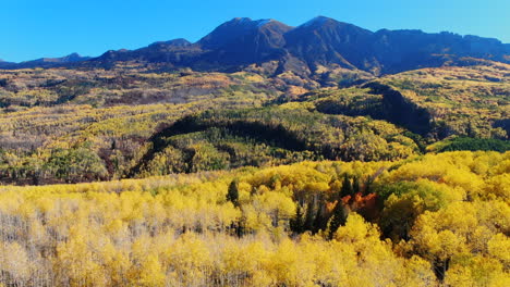 colorido colorado cinematográfico avión no tripulado kebler pasar cresta butte gunnison desierto otoño otoño árboles de abeto amarillo espectacular increíble paisaje luz del día pájaro azul picos rocosos hacia adelante revelan movimiento