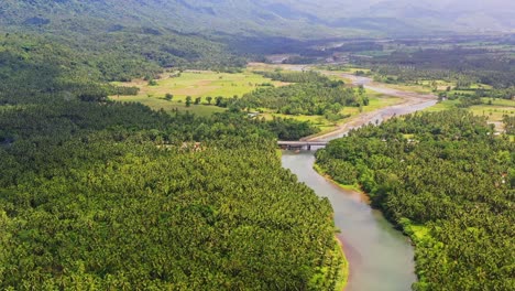 Countryside-River-With-Dense-Coconut-Trees-At-Daytime-In-Southern-Leyte,-Philippines