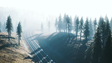 Camino-A-Través-Del-Bosque-De-Taiga-Ruso-Desde-Una-Vista-Aérea