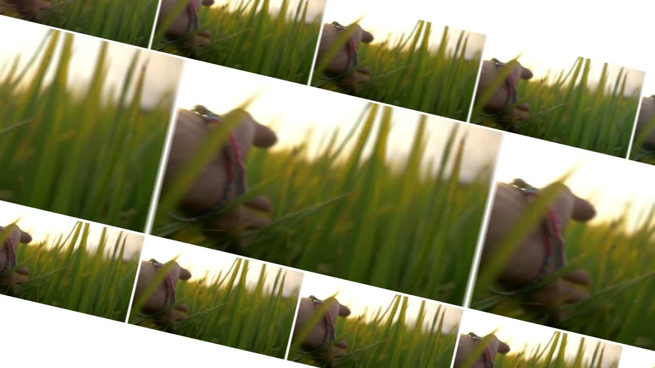 Silhouette of a Person with Multiple Images