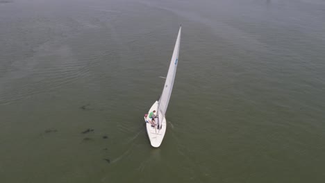 sailing boats on a river