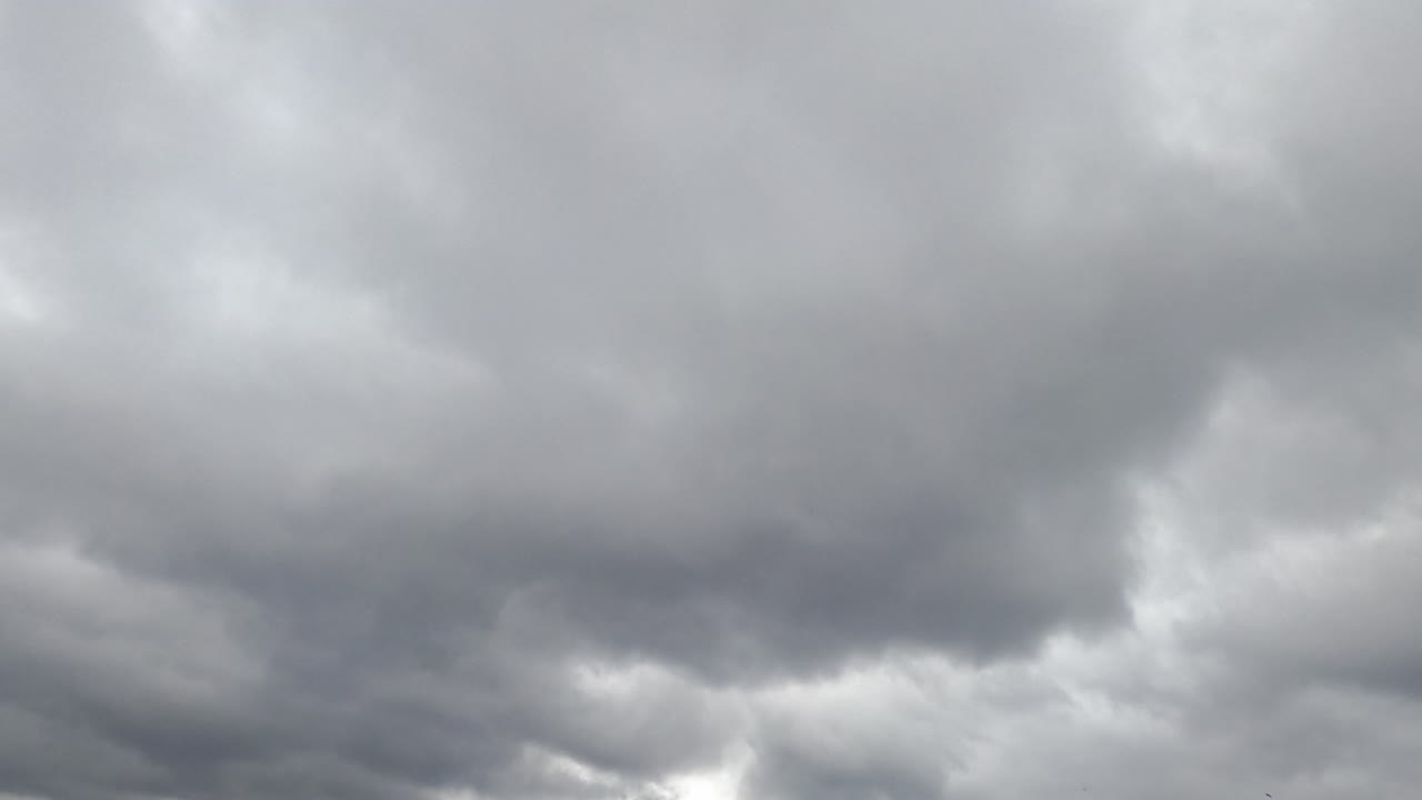 Grey clouds quickly fly along the skies. Horizon densely covered with cloudscape before rain. Low angle view. Timelapse.