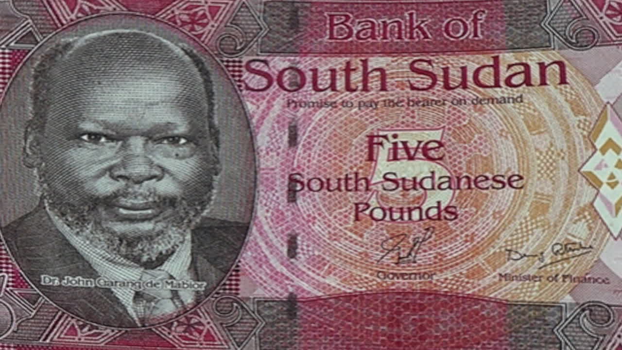South Sudanese Banknotes featuring Dr. John Garang de Mabior and Cattle