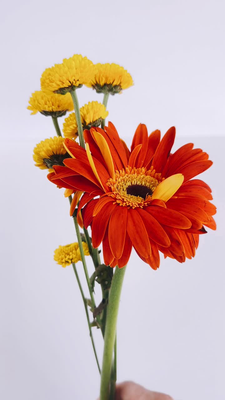 un ramo de flores de colores