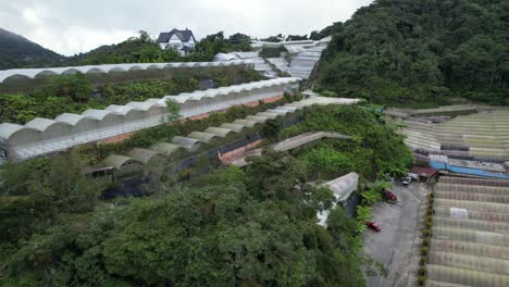 general landscape view of the brinchang district within the cameron highlands area of malaysia