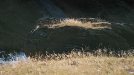 a huge stone on the river bank