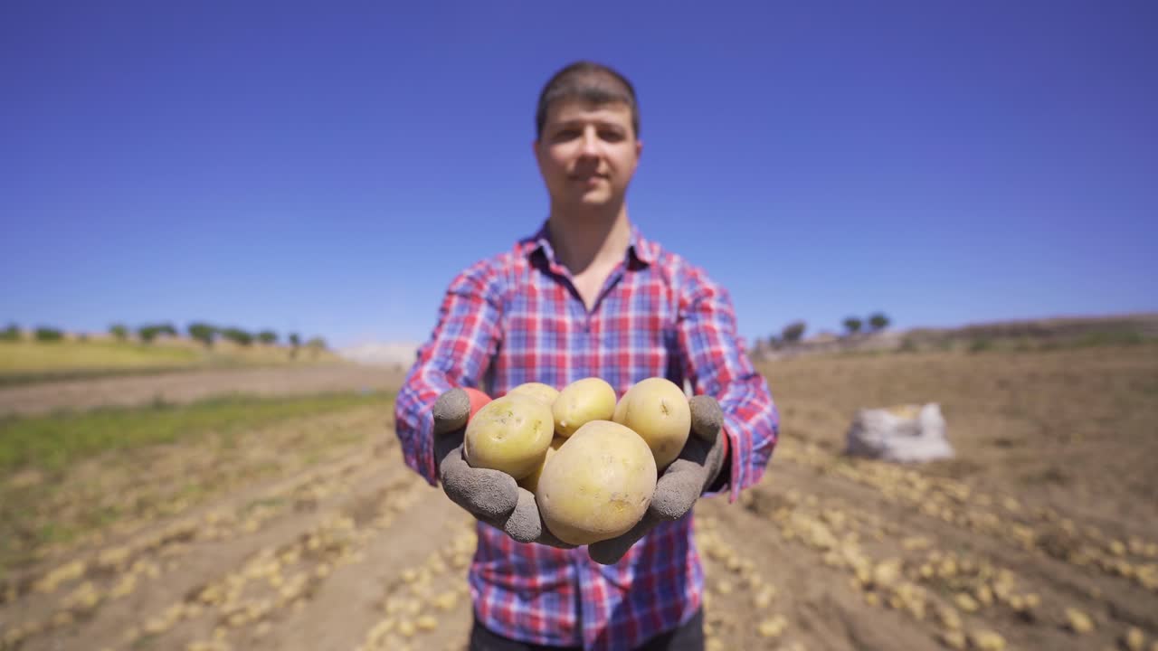 un agricultor feliz mostrando sus patatas orgánicas.