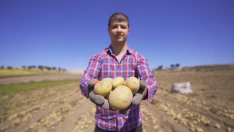 Happy-Farmer-Showing-His-Organic-Potatoes.