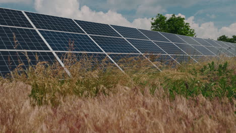 solar panels in a field
