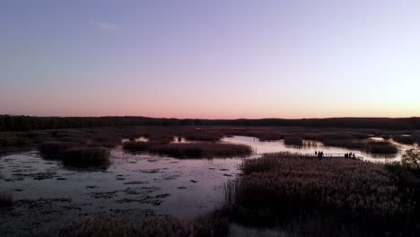 Aerial-forward-flight-over-reeds-and-pond-lily-immersed-in-pond-water,Istanbul,Turkey