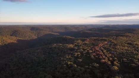 Aerial:-Flying-over-thick-forest-and-bushland-with-valleys-visible-on-the-horizon,-in-Sydney-Australia