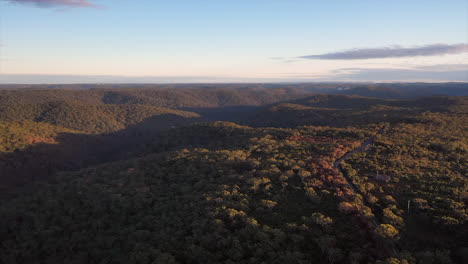 Antena:-Volando-Sobre-Bosques-Espesos-Y-Matorrales-Con-Valles-Visibles-En-El-Horizonte,-En-Sydney,-Australia