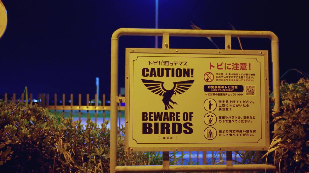 Warning Sign on Enoshima, Bird Attacks on Tourists at Popular Tourist Location