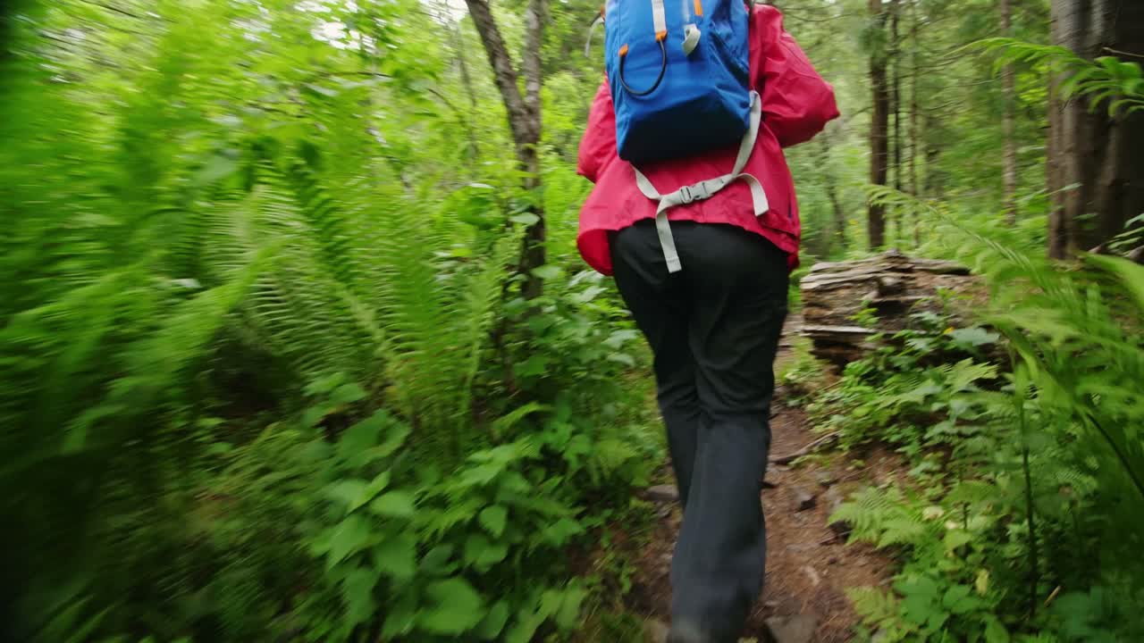 Woman Hiking Through a Lush Forest
