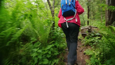 woman hiking through a lush forest