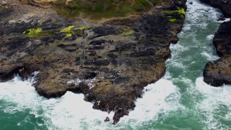 Imágenes-Aéreas-De-4k-30fps-Del-Pozo-De-Thor,-Bocina,-Autopista-101-A-Lo-Largo-De-La-Costa-Noroeste-Del-Pacífico-De-Oregon---Vista-Aérea-Agua-Azul-Turquesa,-Roca-Cubierta-De-Musgo,-Pájaros-Volando,-Puente-épico-Revelado