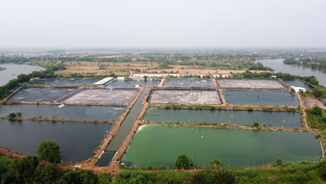 Aerial-view-of-shrimp-farmland-countryside