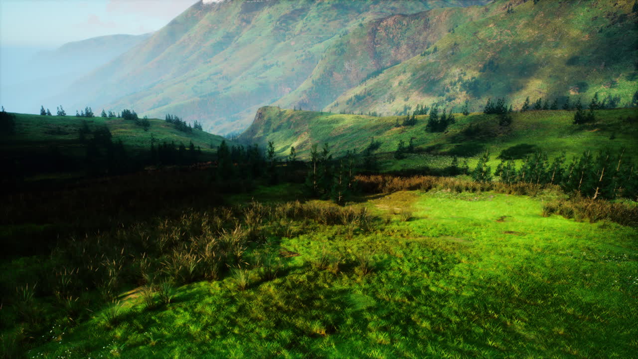 la ladera verde exuberante cubierta de árboles
