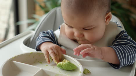 6 month old baby exploring and playing with solid foods avocado for the first time in his high chair with infant plate