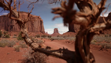 Travel-destination,-Monument-Valley,-Utah---Americas-southwest-desert-region,-looking-through-a-dead-tree-on-a-dry-afternoon-at-the-beautiful-rock-formations